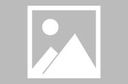wta预告片无郑钦文郑钦文伤病痊愈迎巅峰马拉松基础知识中国羽毛球队教练团队介绍