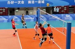巴黎奥运会跳水水数据统计图访谈分析怎么写优秀新闻集体主要事迹